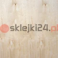 klasa-cp-1.jpg